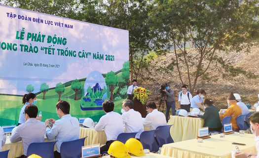 EVN phấn đấu trồng mới và chăm sóc 100.000 cây xanh trong năm 2021.